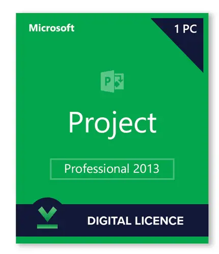 Microsoft Project Professional 2013