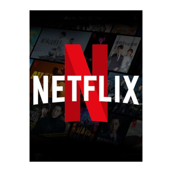 netflix premium account 12 months 5 profiles