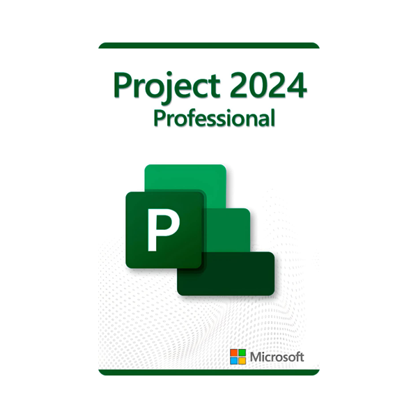 microsoft project 2024 professional